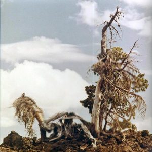 People Of The North – Steep Formations (2xLP)