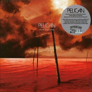 Pelican – What We All Come To Need + Ephemeral (RSD 2025) (ltd. ed.) (3xLP) (grey vinyl)