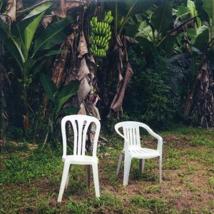 Bad Bunny - Debi Tirar Mas Fotos (2xLP) (white vinyl)